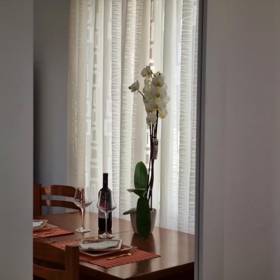 Vakantiehuis Green Villa Vlorë